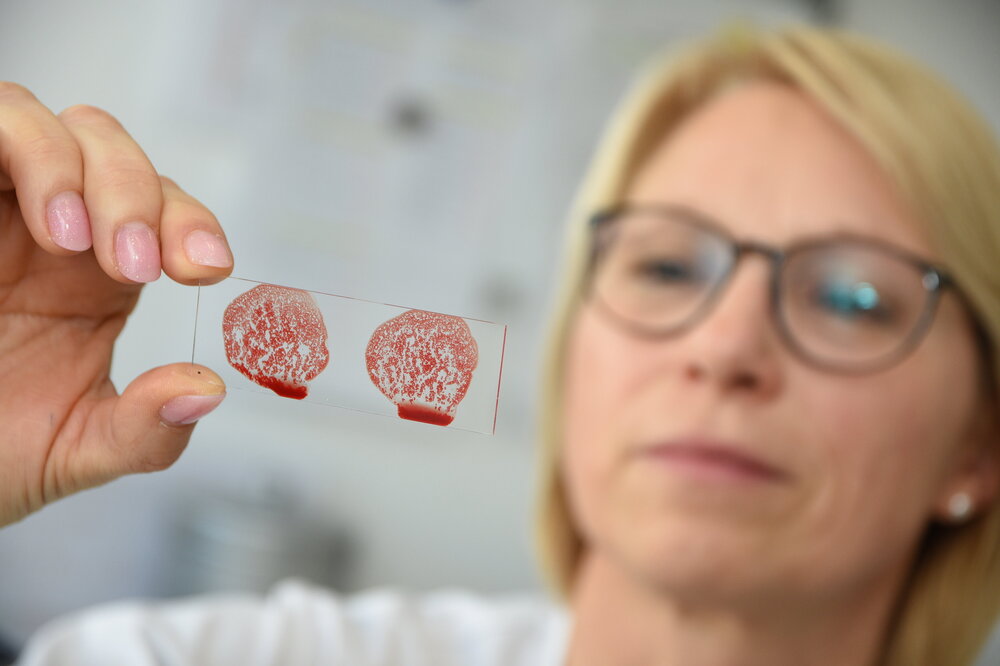 Die Antitoxin GmbH macht ihr Hauptgeschäft mit Reagenzien zur Bestimmung der Blutgruppen – und ist weltweit gefragt