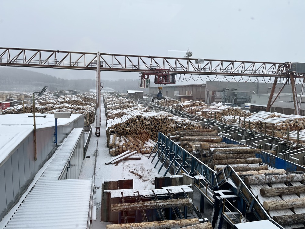 AK Nachhaltigkeit: Holzlagerplatz für das eigene Sägewerk 